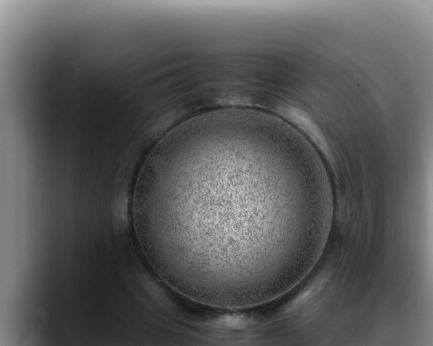 X0000090430441200707201139