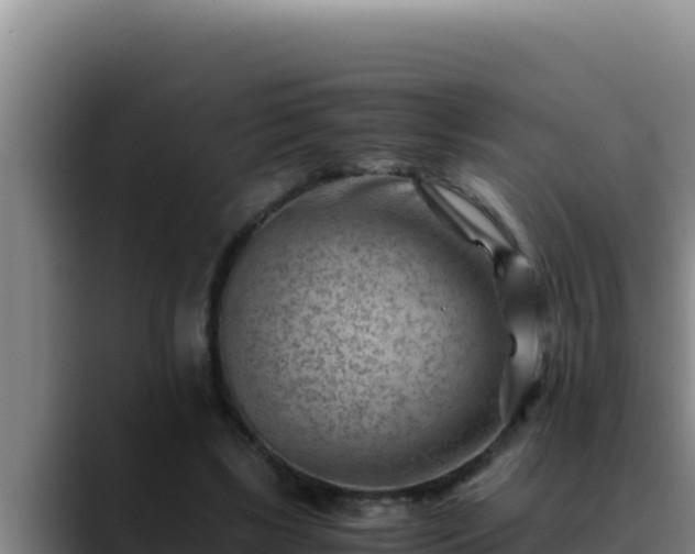 X0000090430443200707201139