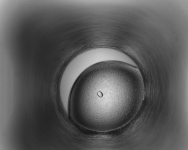 X0000090430448200707201139