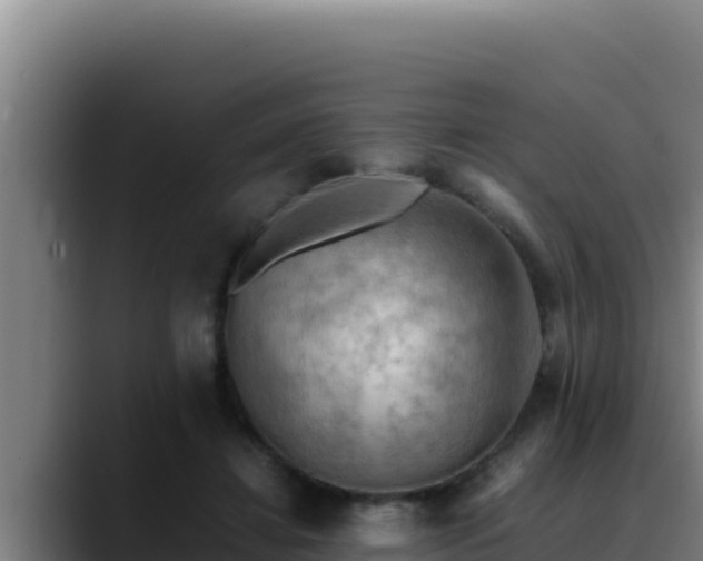 X0000090430452200707201139