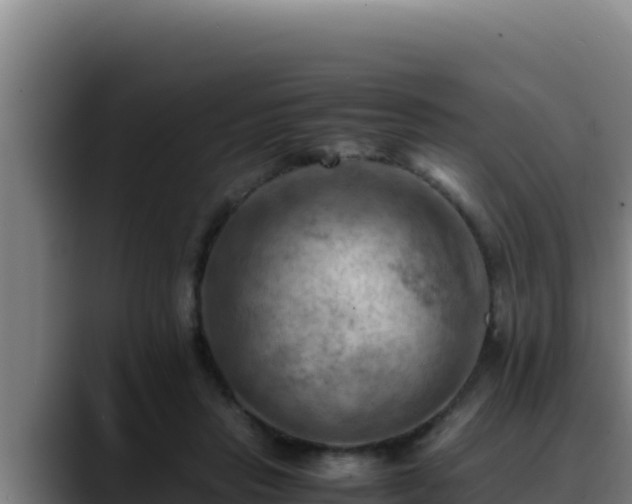 X0000090430453200707201139