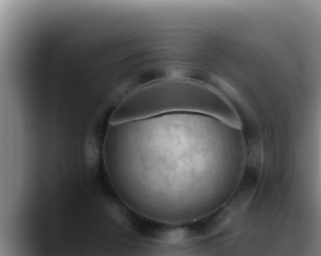 X0000090430456200707201139