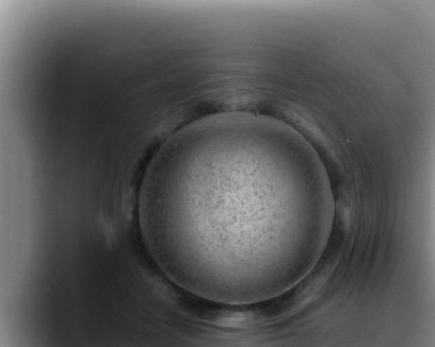 X0000090430458200707201139