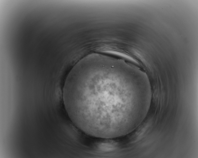 X0000090430459200707201139