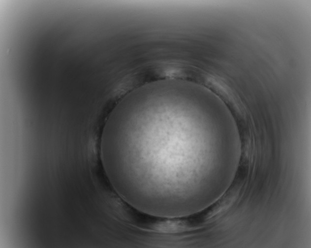 X0000090430461200707201139