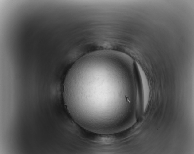X0000090430466200707201139