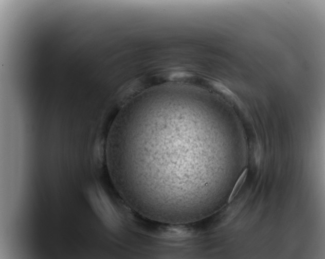 X0000090430475200707201139