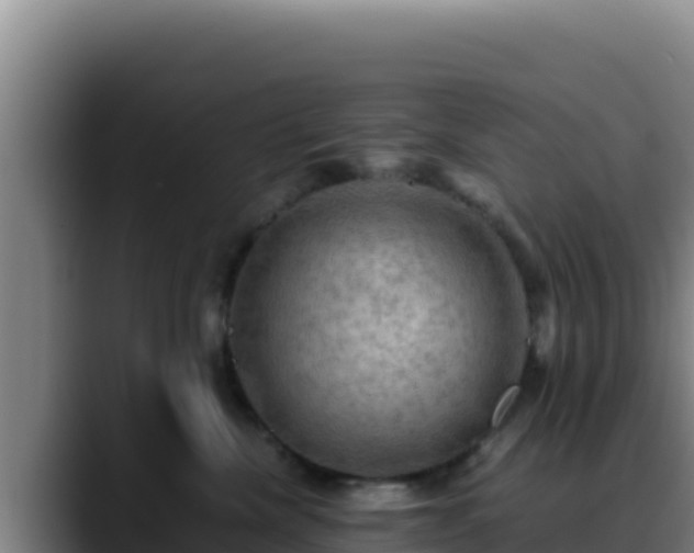 X0000090430476200707201139