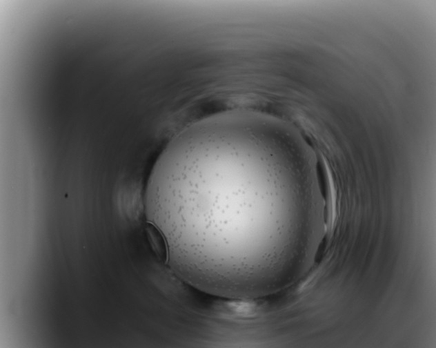 X0000090430478200707201139