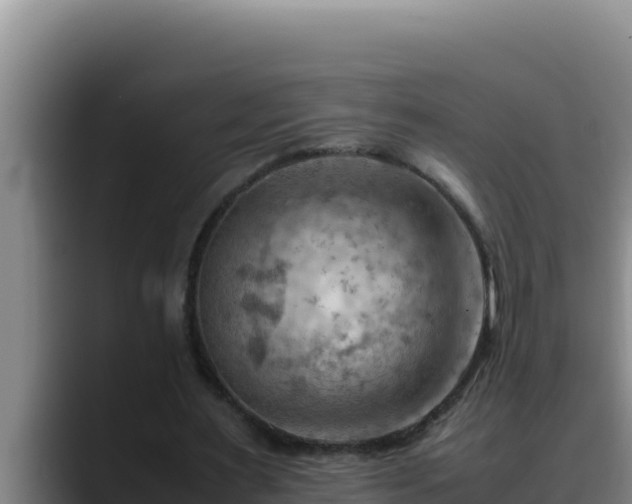 X0000090430483200707201139