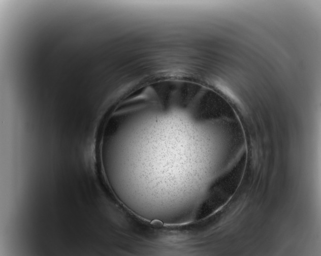 X0000090430486200707201139
