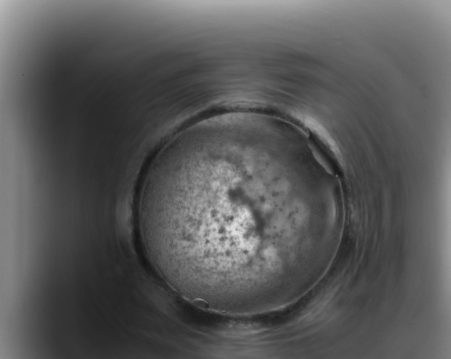 X0000090430487200707201139