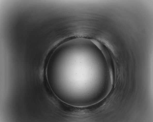 X0000090430488200707201139