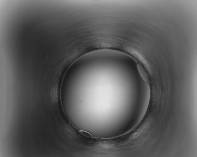 X0000090430489200707201139