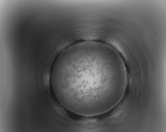 X0000090430491200707201139