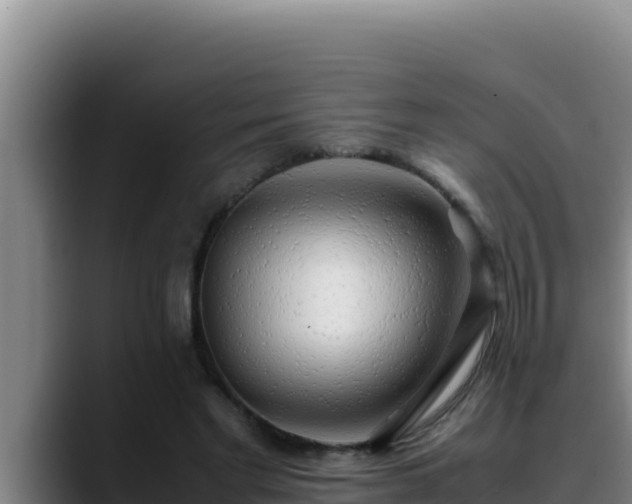 X0000090430493200707201139
