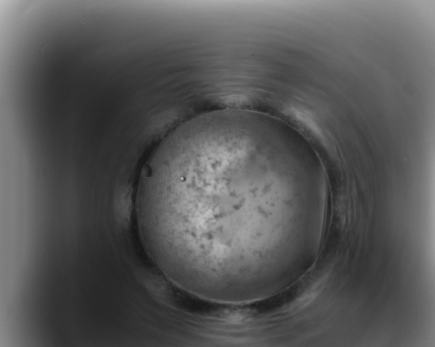 X0000090430495200707201139