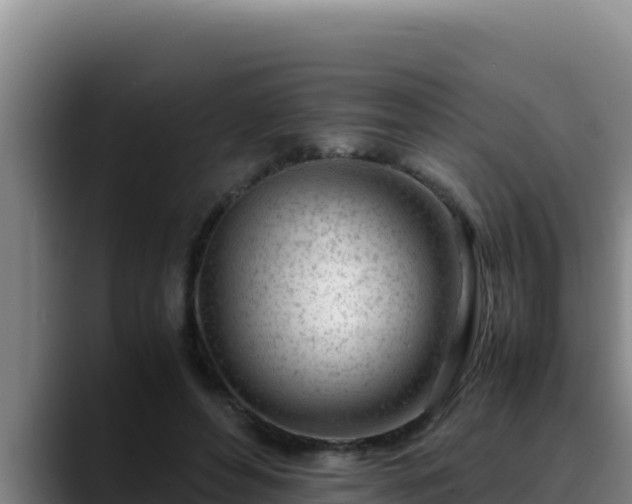 X0000090430496200707201139
