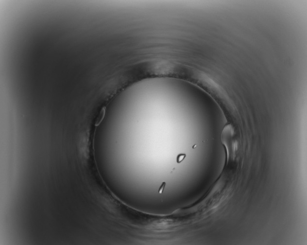 X0000090430497200707201139