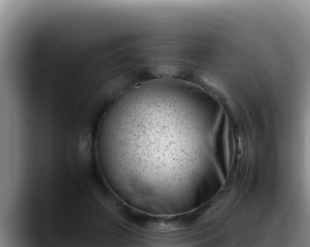 X0000090430498200707201139