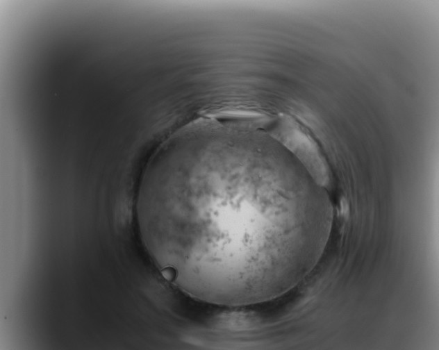 X0000090430499200707201139