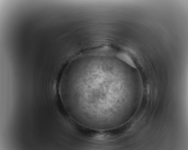 X0000090430504200707201139