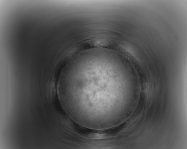X0000090430506200707201139