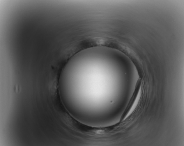 X0000090430509200707201139
