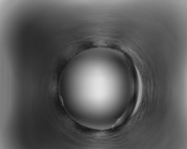 X0000090430513200707201139