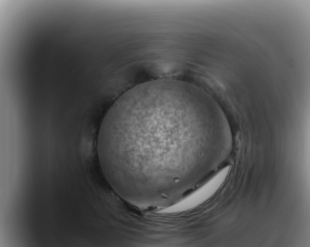 X0000090430515200707201139