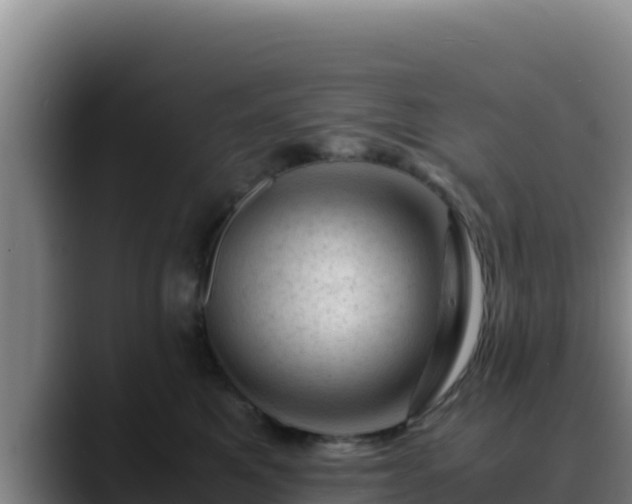 X0000090430521200707201138