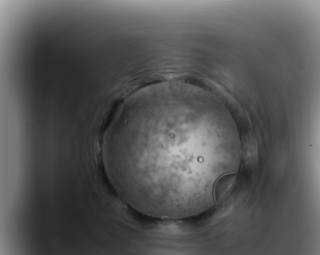 X0000090430523200707201138