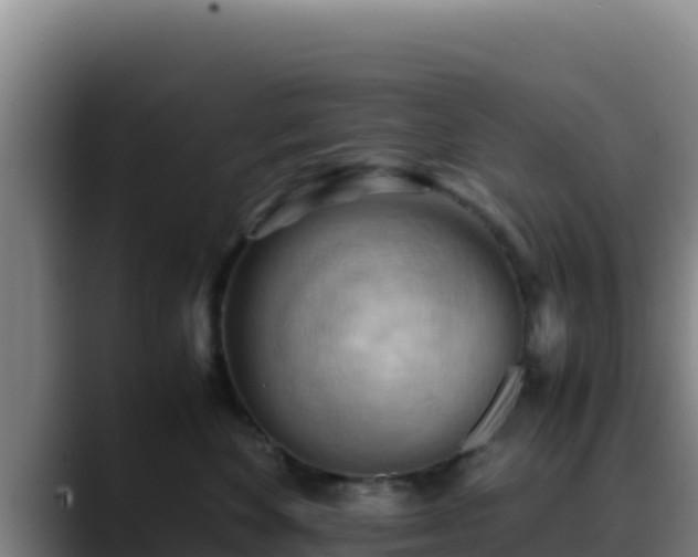 X0000090430524200707201138