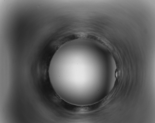 X0000090430525200707201138