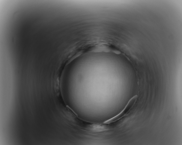 X0000090430528200707201138