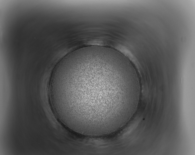 X0000090430529200707201138