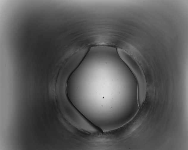 X0000090430530200707201138