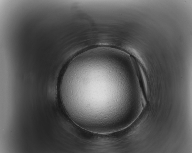 X0000090430531200707201138