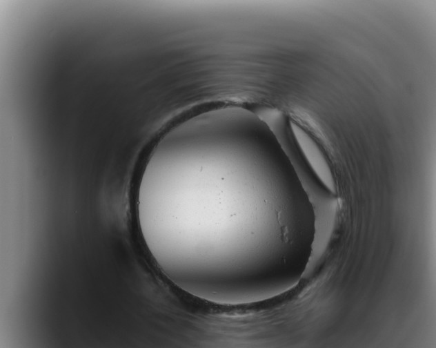 X0000090430532200707201138