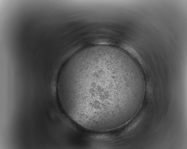 X0000090430533200707201138