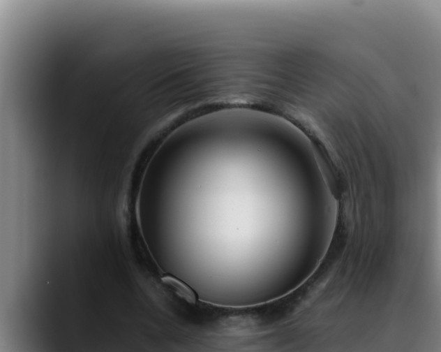 X0000090430536200707201138