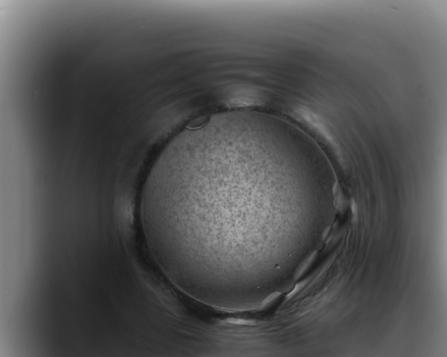 X0000090430539200707201138