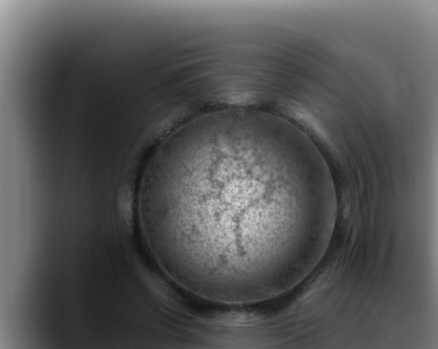 X0000090430542200707201138