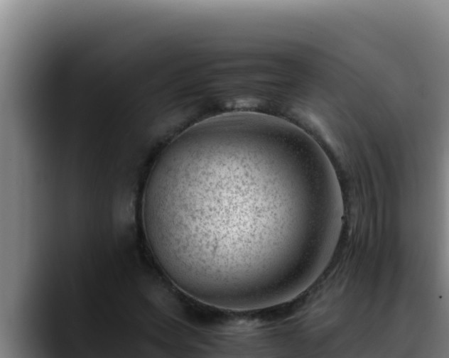 X0000090430543200707201138