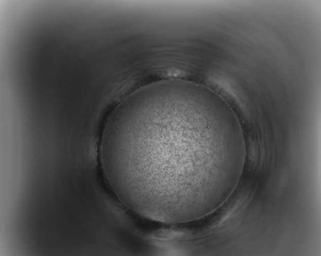 X0000090430545200707201138