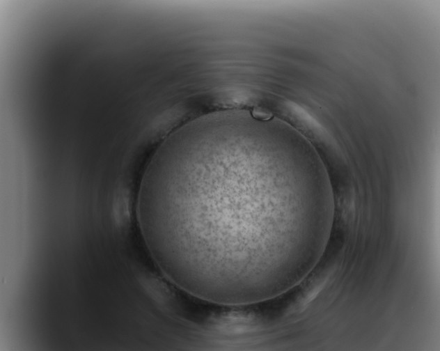 X0000090430546200707201138