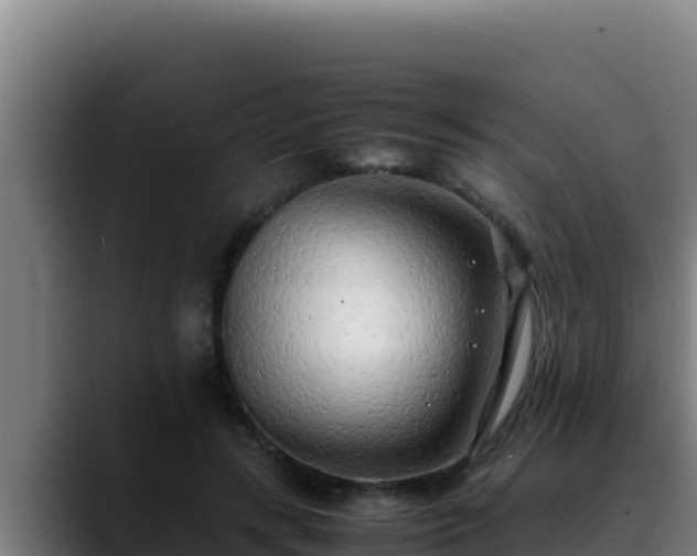 X0000090430547200707201138