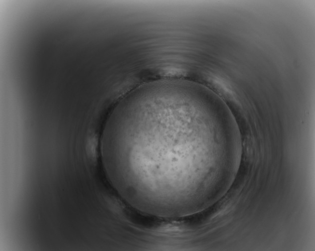 X0000090430550200707201138