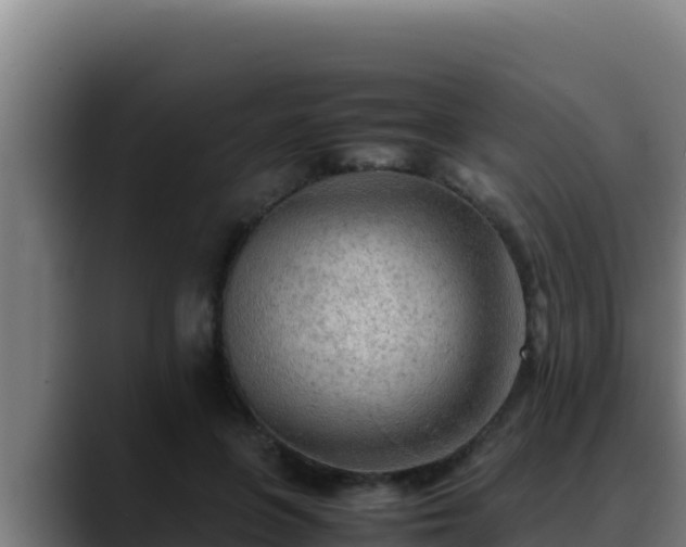 X0000090430551200707201138