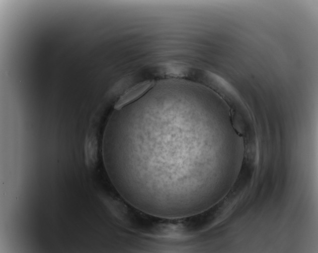 X0000090430552200707201138